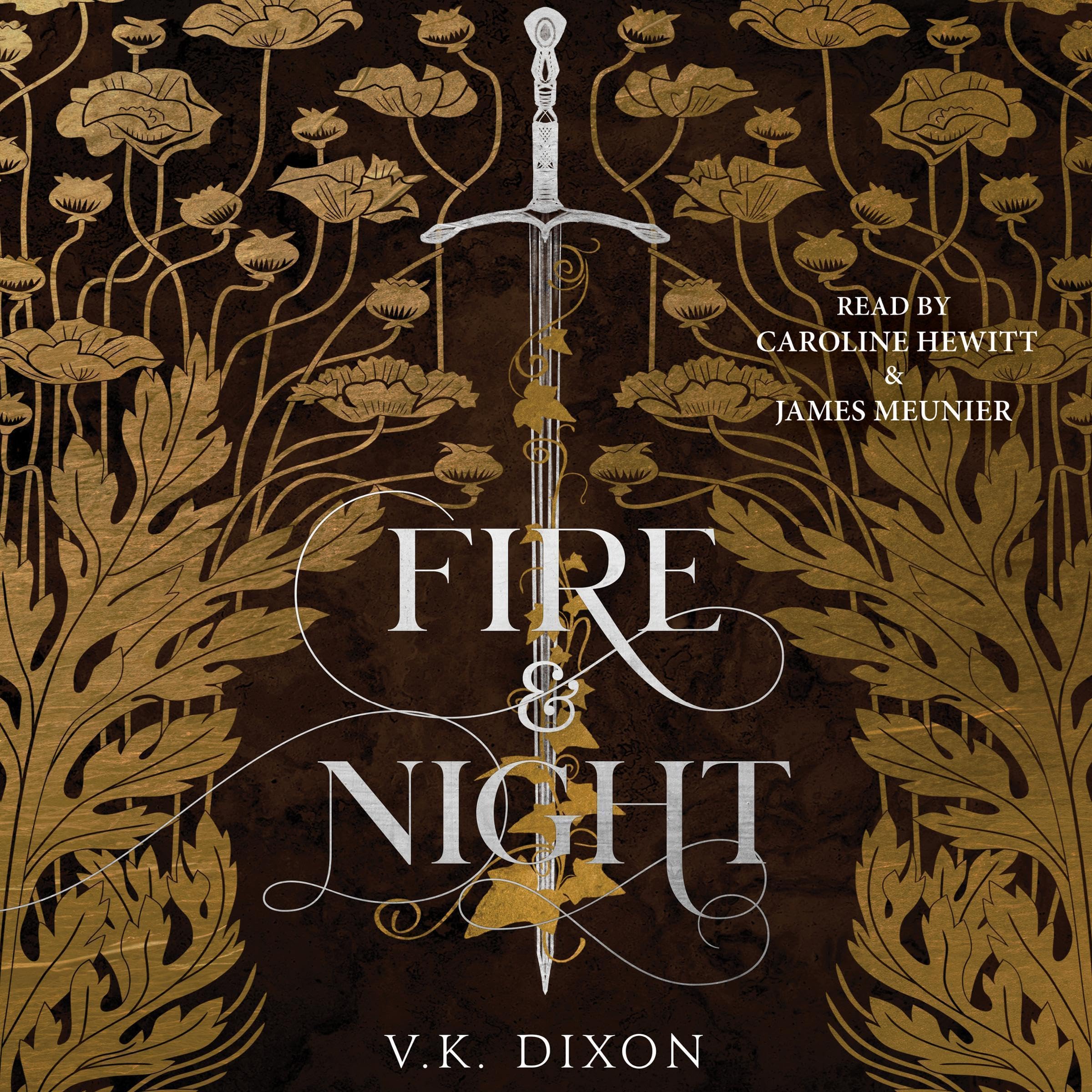 Cover art for Fire &amp; Night