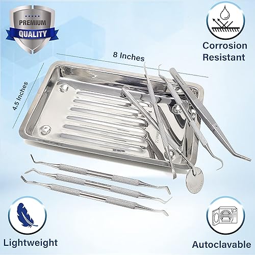 Miniatura 2 de Heidman Instrumentos restauradores de llenado dental (0.079 pulgadas, 0.088 pulgadas, 0.18 pulgadas) con bandeja escaladora, espejo dental, raspador