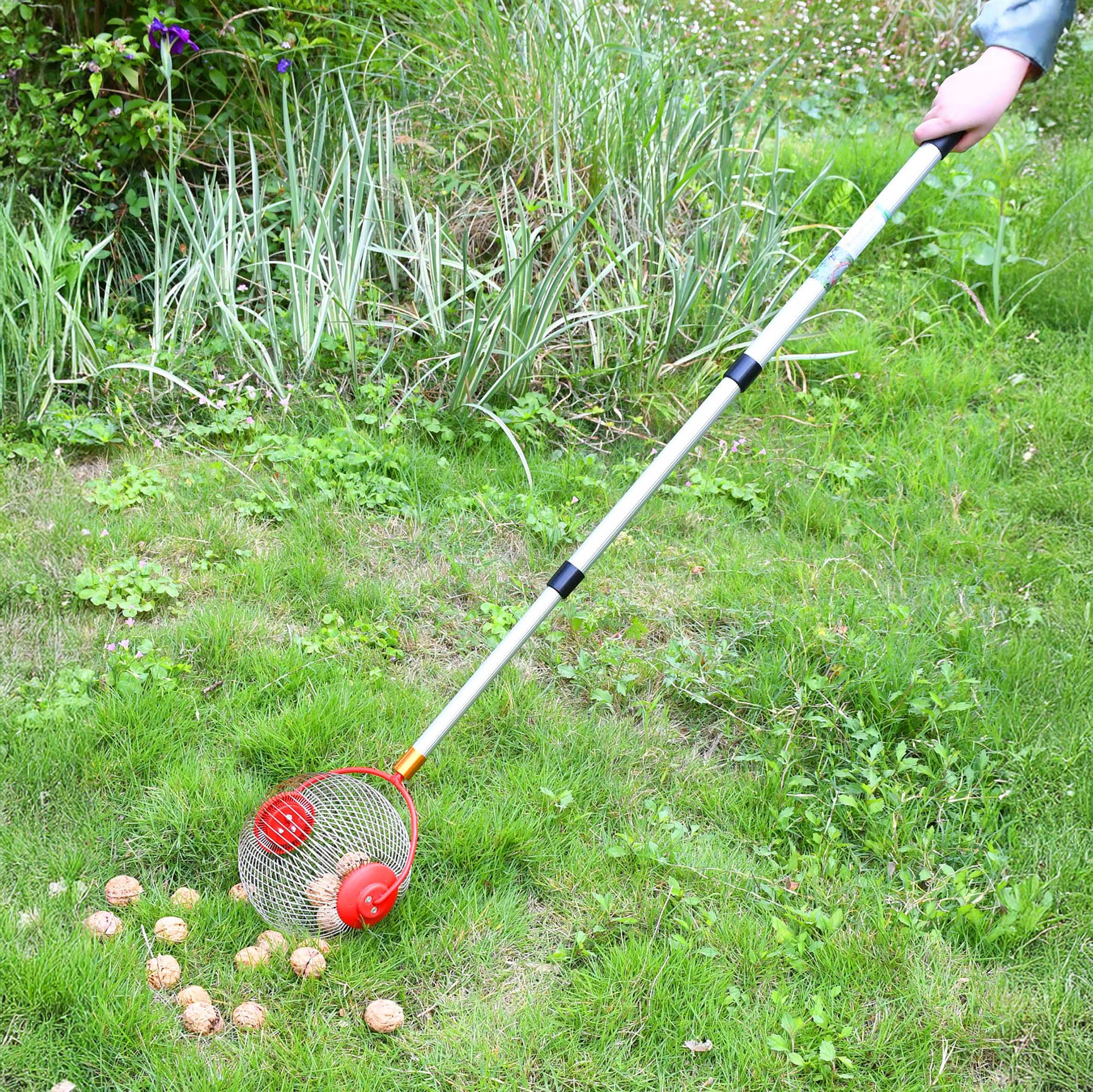 Spetebo Rollsammler für Früchte und Nüsse mit Alu Teleskopstiel - ausziehbar bis 120 cm - Obstsammler mit rundem Erntekorb und Teleskopstange - Kugelpflücker Erntehelfer für Äpfel Birnen Obst