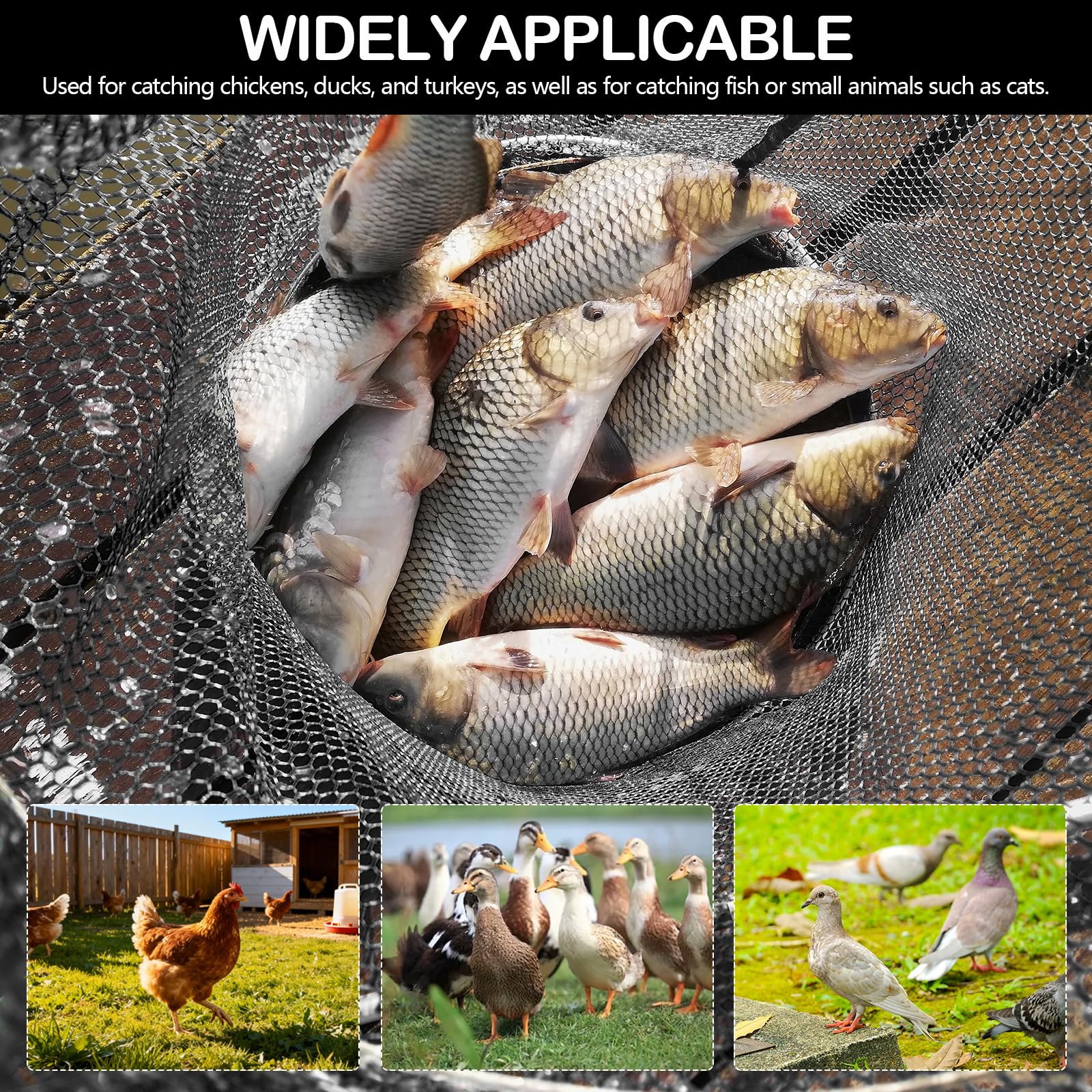Guadino da Pesca, Retino da Pesca Pieghevole Estensibile Reti Telescopiche per Pollo per Acquario, Oggetti Galleggianti per Stagni, Trota Carpa