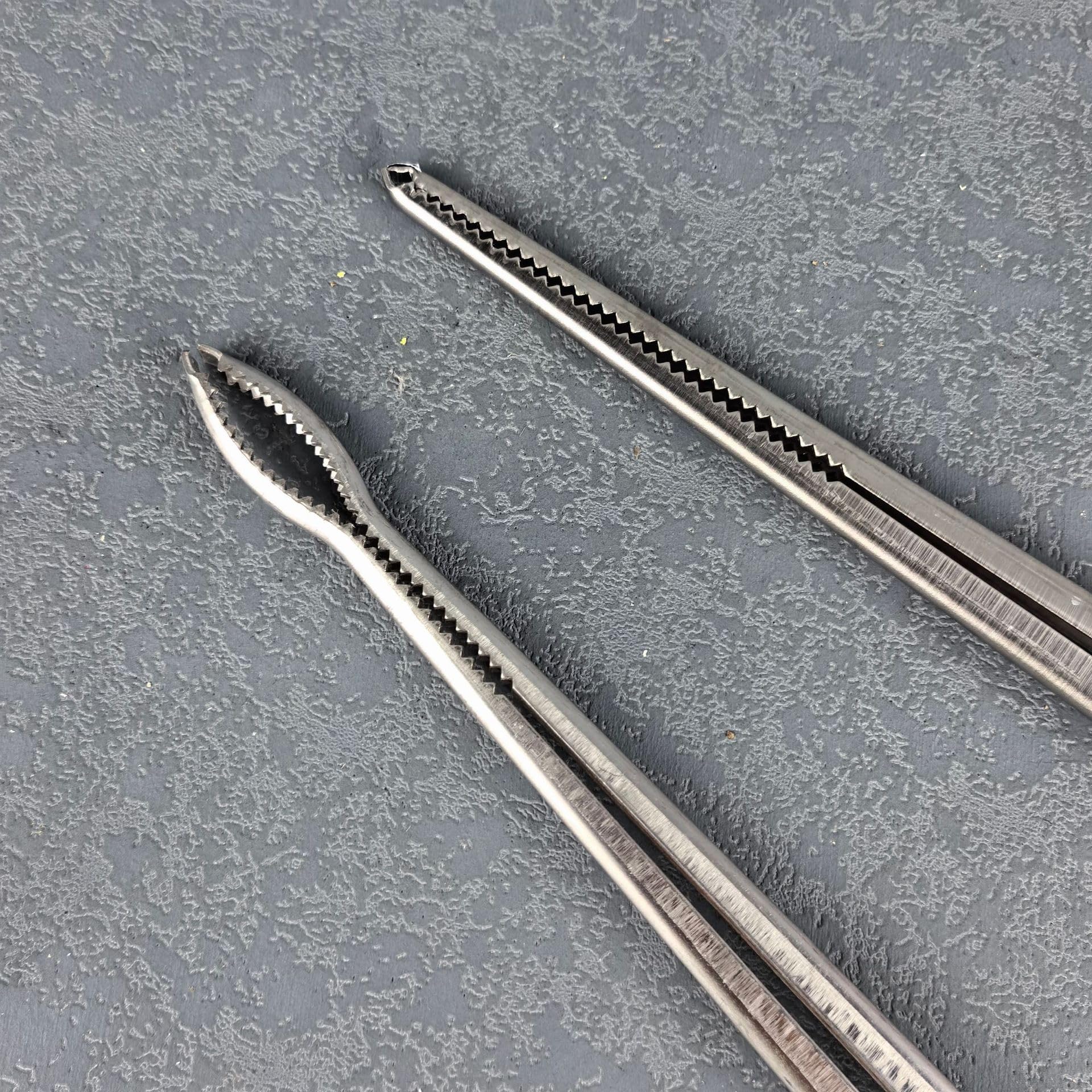 Pinze per Granchi e Anguilla a Lunga Portata, Acciaio Inossidabile 38/52cm
