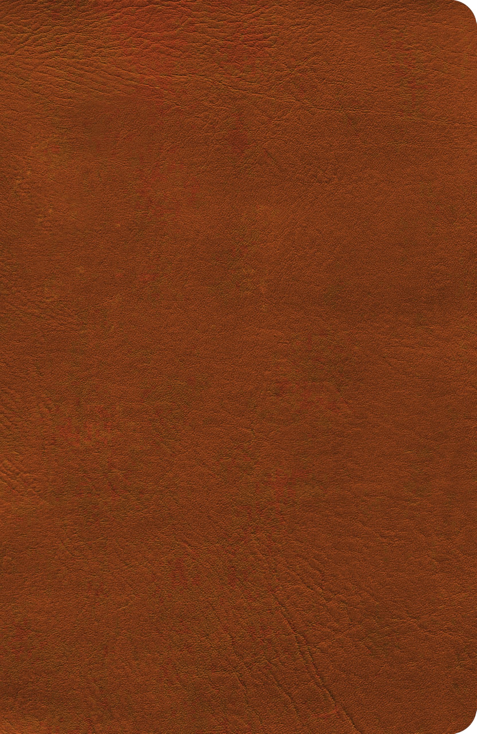 NASB Verse-by-Verse Reference Bible, Burnt Sienna LeatherTouch
