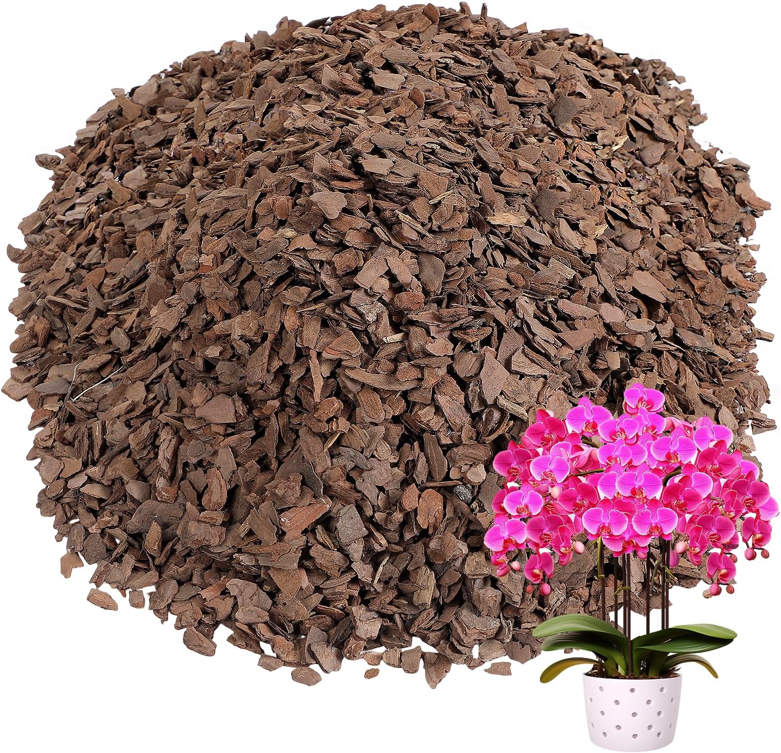 Bigmeta 10 Quarts Orchid Potting Bark, Sun-Dried New Zealand Medium Organic Pine Wood Chip Barks for Orchids Mix Plant Compost, Natural Houseplant Mulch for Plant Roots Development