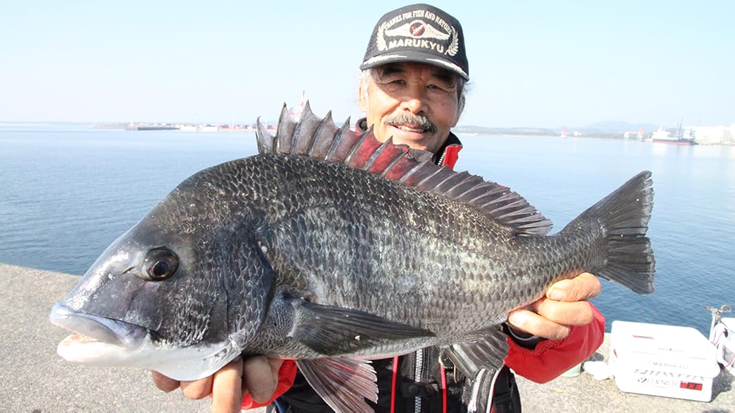 釣りはウキで決まる (ゴマポケット 48) | 遠矢 国利 |本 | 通販 | Amazon