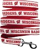 NCAA PET Leash, Medium, Wisconsin Badgers, Shiny & Colorful Leash for Dogs & Cats Licensed by The NCAA