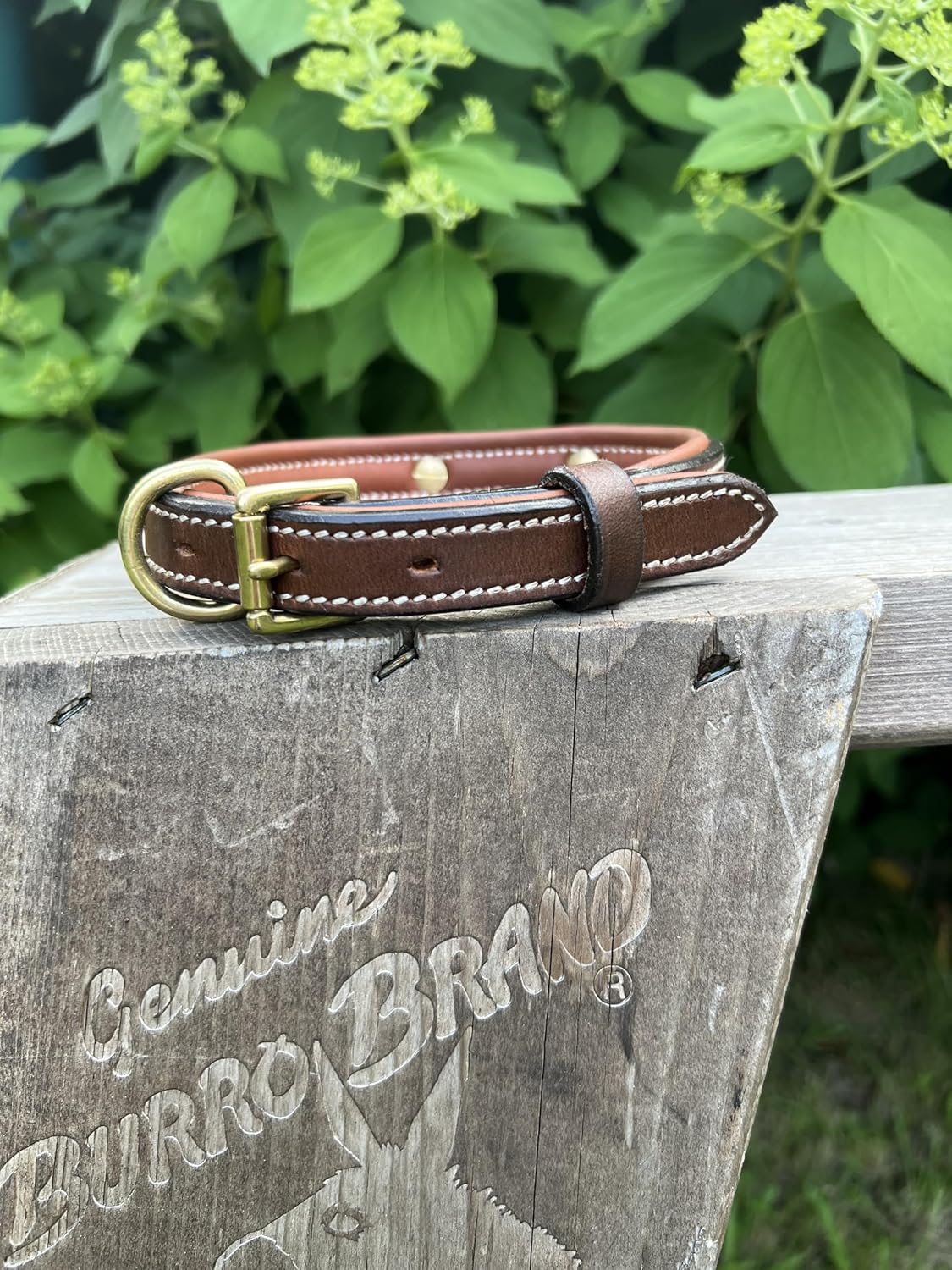 Leaders Leather Dog Collar with Customized Name Plate (Large (17"-21"))