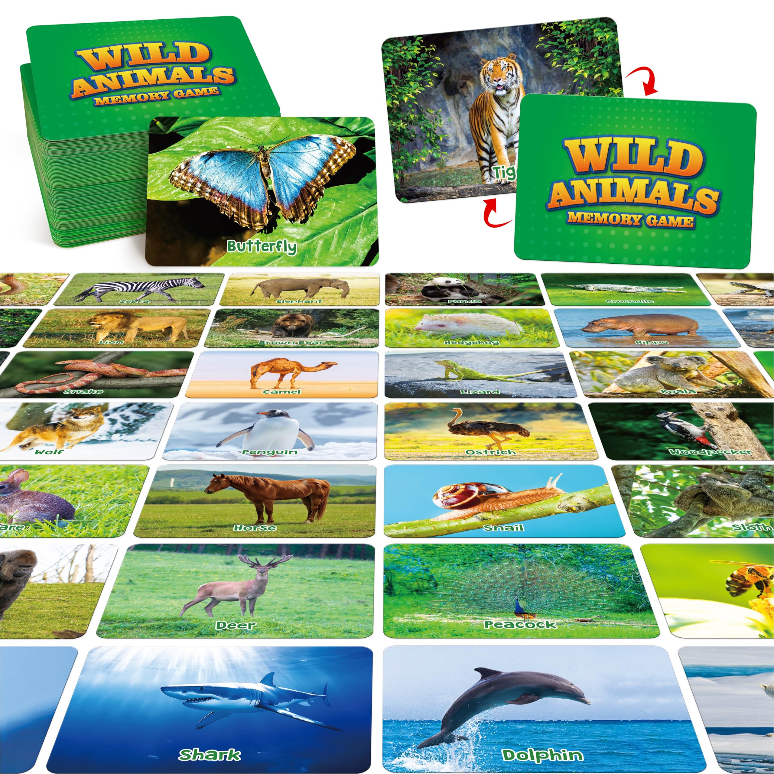 Amazon.com: Hebayy Wild Animal Matching Game, 80 PCS Realistic
