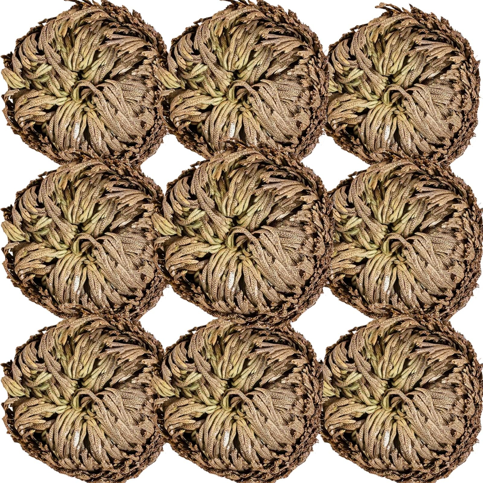 Dried Rose of Jericho (9Pcs)