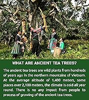 Vista 3 de VIXI Té negro hoja suelta, (8.00 onzas), té de montaña de Vietnam, sabor atrevido, sabor a té Assam, hojas grandes enteras secas, 100% natural