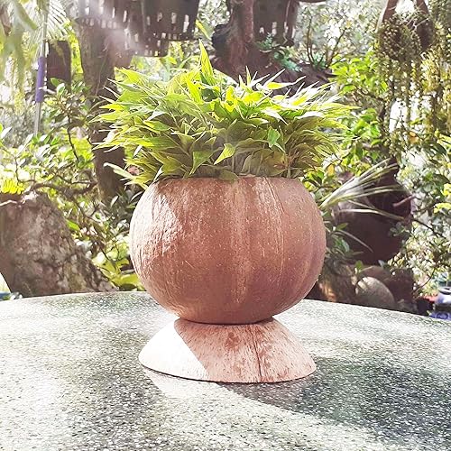 Miniatura 6 de Rainforest Bowls Juego de 2 macetas de coco con pedestal con orificio de drenaje, perfectas para suculentas, flores, plantas pequeñas, jardines