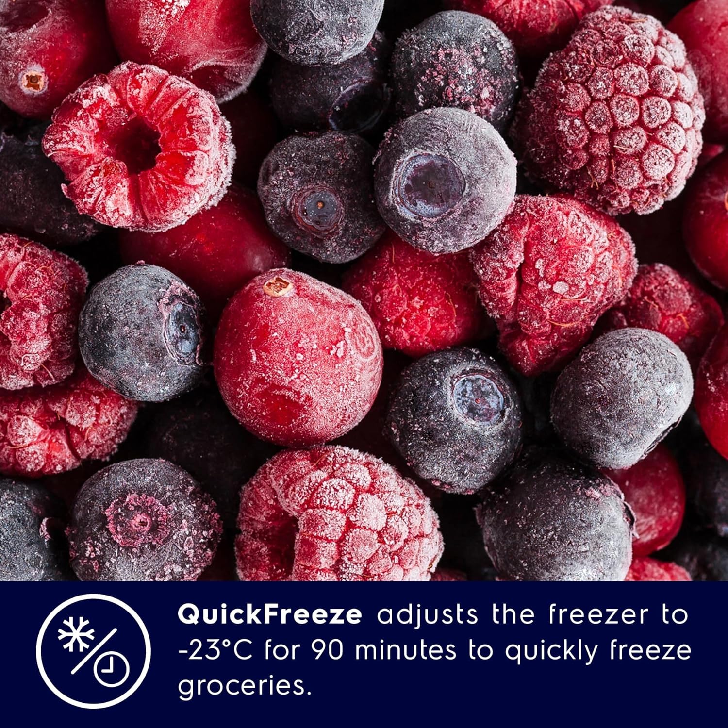 QuickFreeze function graphic with frozen berries, indicating rapid freezing
