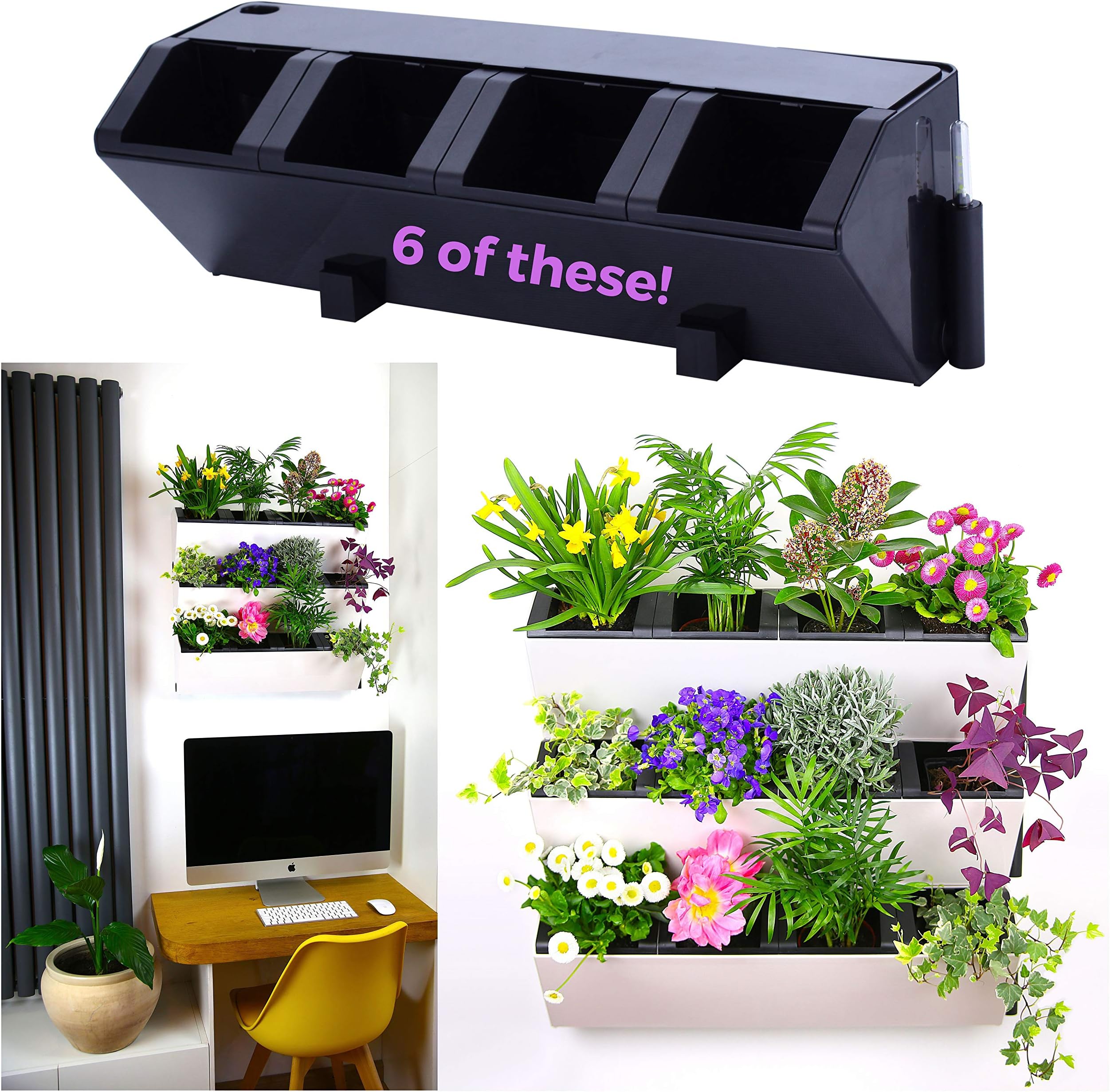 Self Watering Wall Planter by MyEasygro for Indoor and Outdoor | Mounted Hanging Vertical Urban Garden Decor | Green Wall Pots for Flowers, Plants, Herbs, Vegetables, Seeds | 22.5"x7"x7" (6, Black)