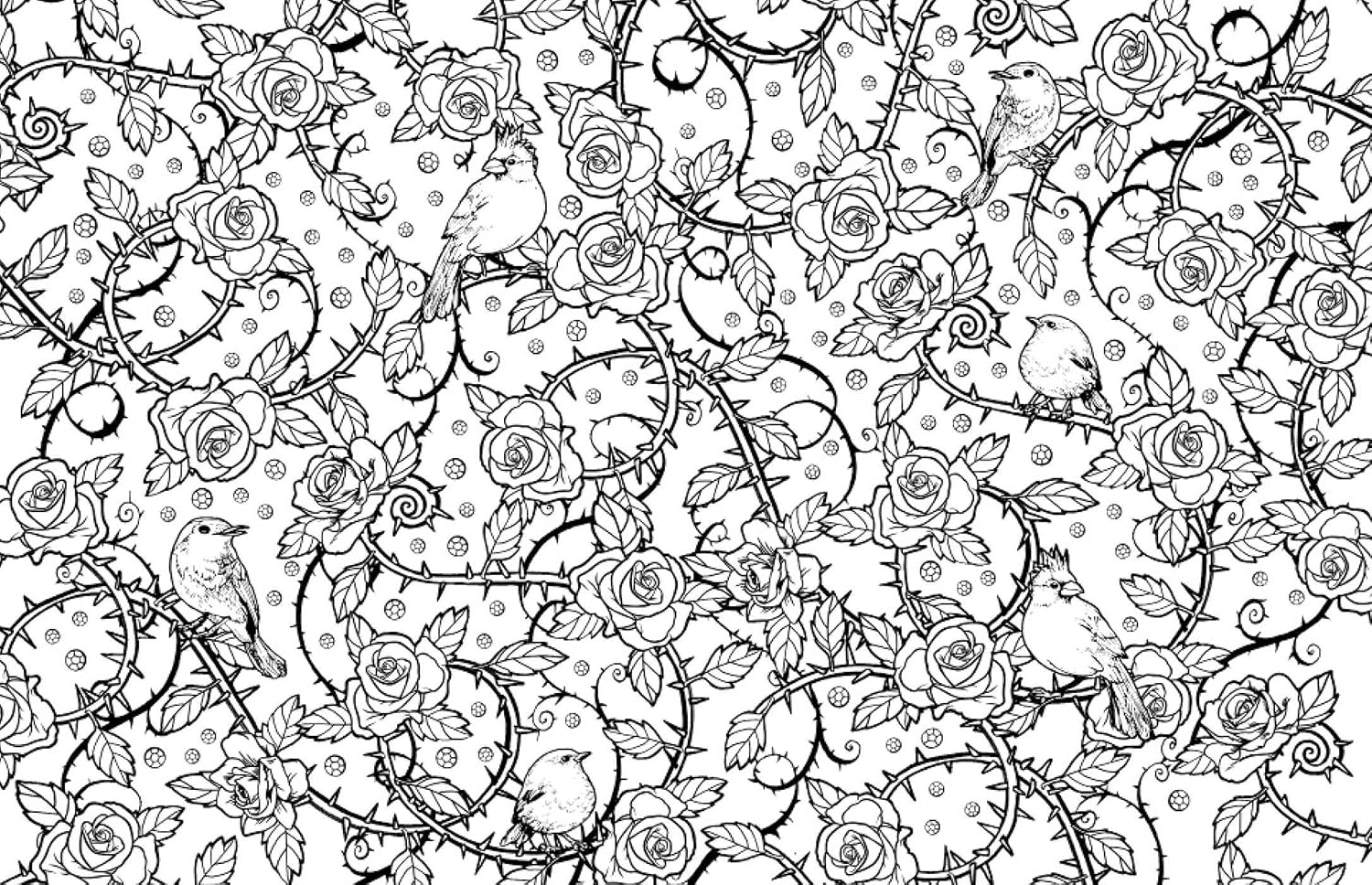 Beauty and the Beast: A Coloring Book (Classic Coloring Book)