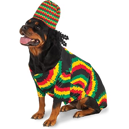 dog clothes boutique