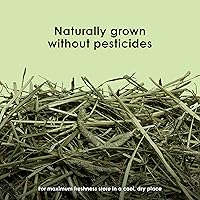 Vista 3 de Kaytee Heno Timothy, Alta Fibra, Crecido Específicamente para Animales Pequeños, Conejos, Cobayas, Chinchillas, 2 Libras