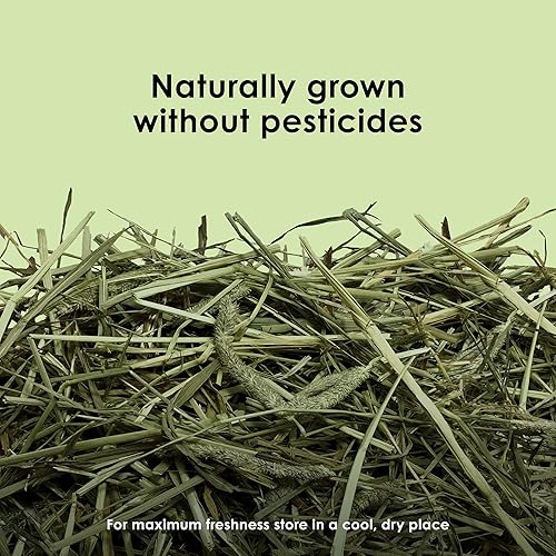 Miniatura 3 de Kaytee Heno Timothy totalmente natural para conejillos de indias, conejos y otros animales pequeños, 2 libras