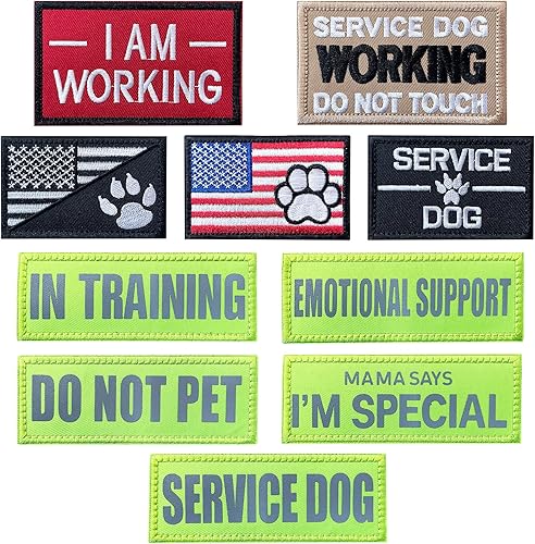 J.CARP 10 parches para perros de servicio, con texto en inglés Don't Pet in Training, Do Not Touch I'm Special bordado, emblema para perros, arnés,
