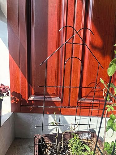 Miniatura 5 de Enrejado de metal para jardín de 24 pulgadas para plantas trepadoras, enrejado resistente para plantas en maceta, plantas de interior, enredaderas
