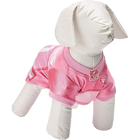raiders dog jersey