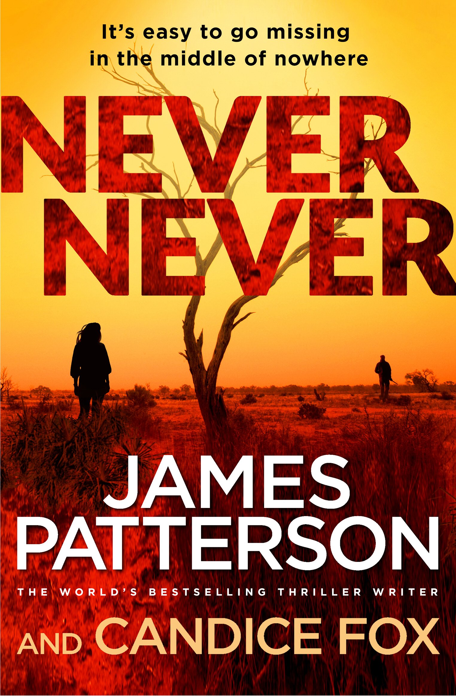 Never Never: (Harriet Blue 1) (Detective Harriet Blue Series)
