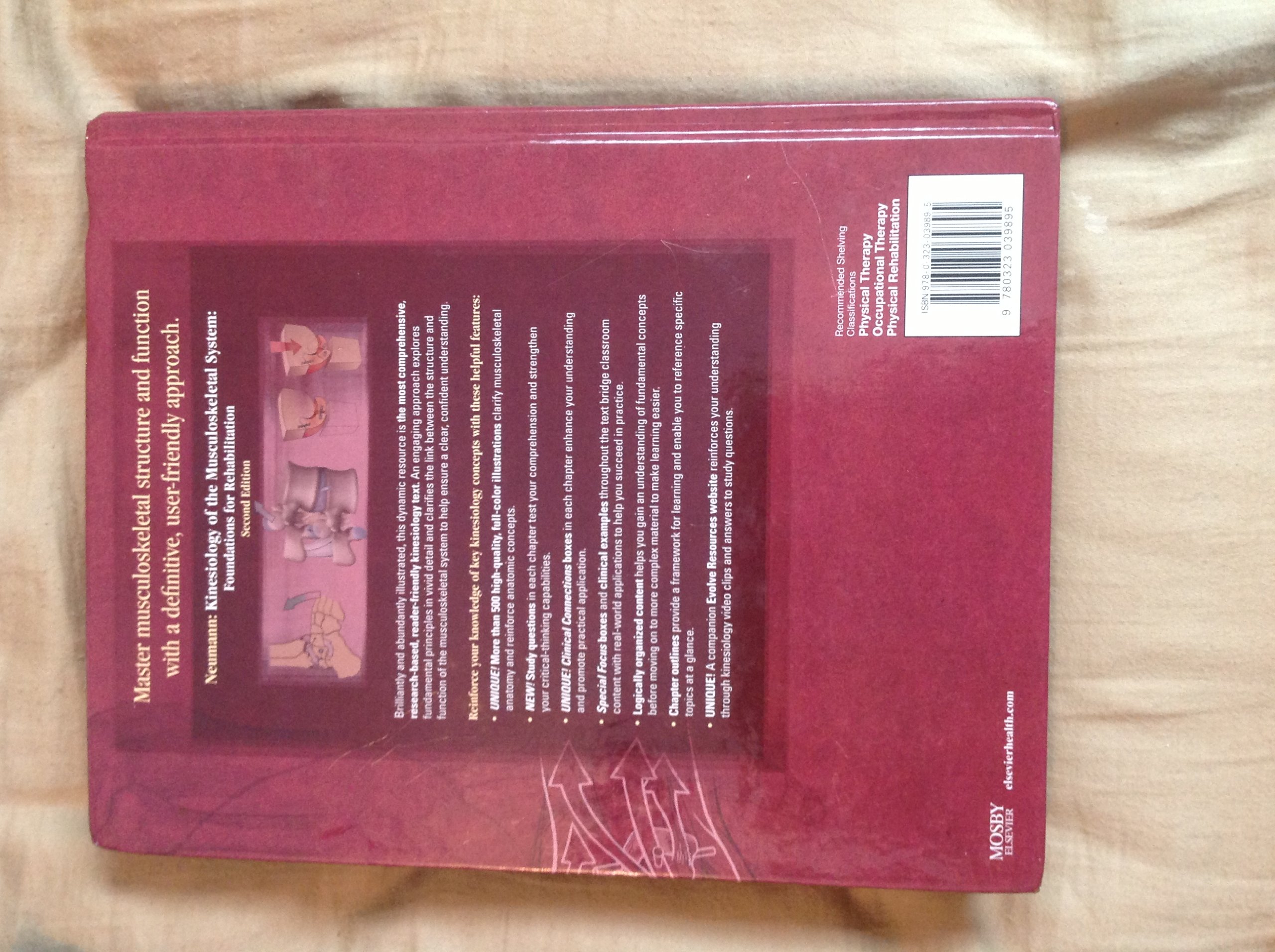 Kinesiology of the Musculoskeletal System: Foundations for Rehabilitation