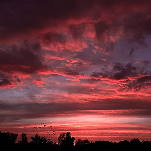 Crimson Sky By Anyway The Ocean Floru On Amazon Music Amazon Com