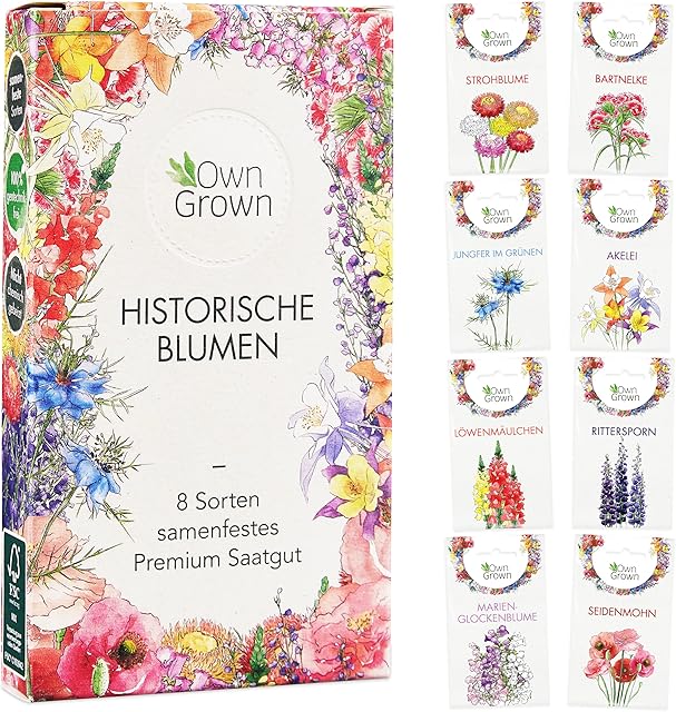 Blumen Blumen Samen Set Glockenblumen Löwenmäulchen — Saatgut