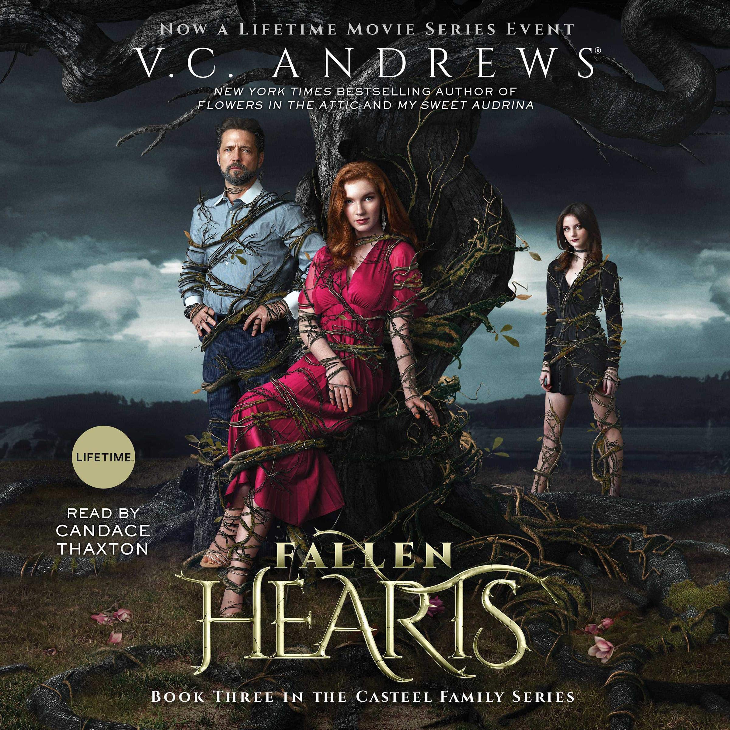 Cover art for Fallen Hearts