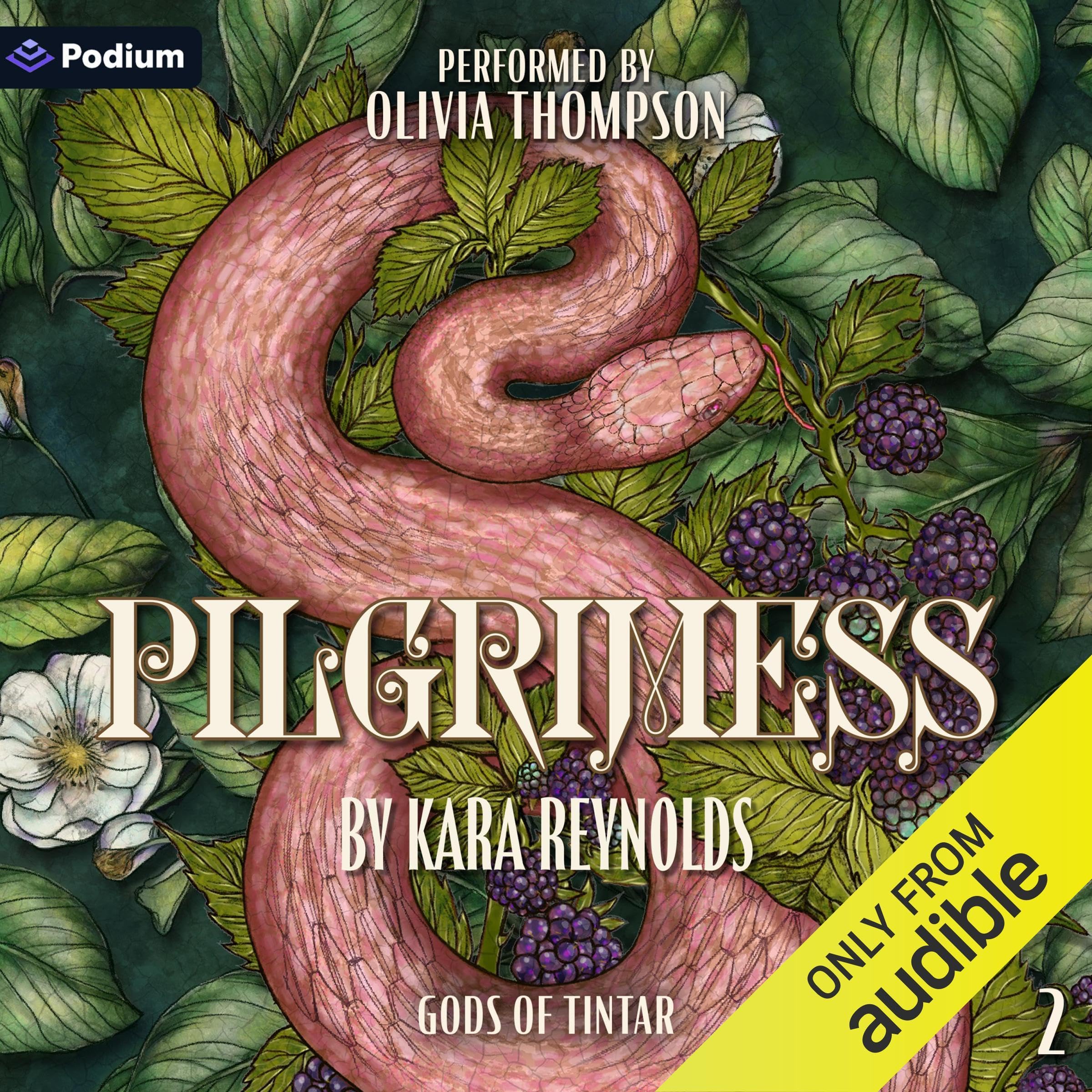 Cover art for Pilgrimess