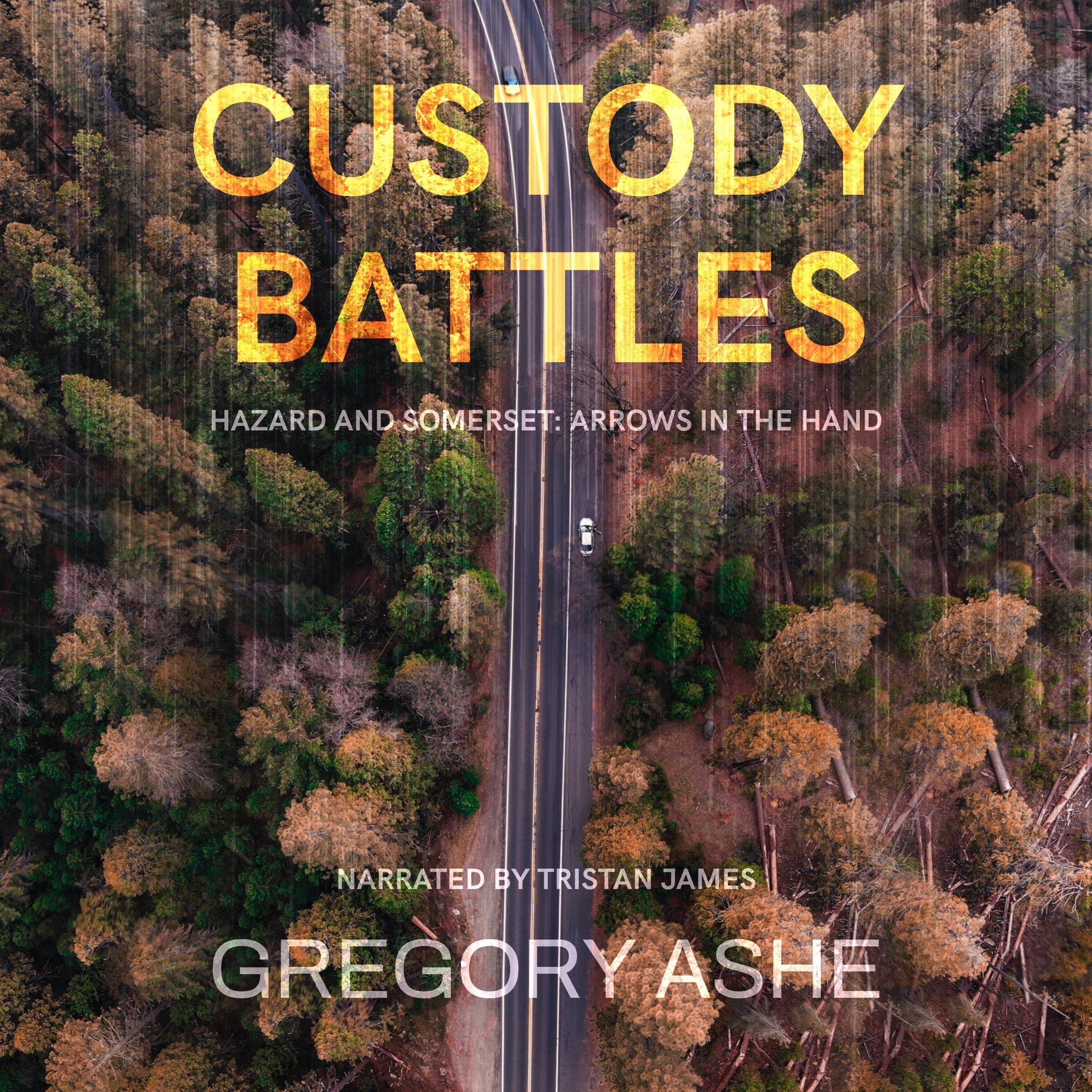 Cover art for Custody Battles