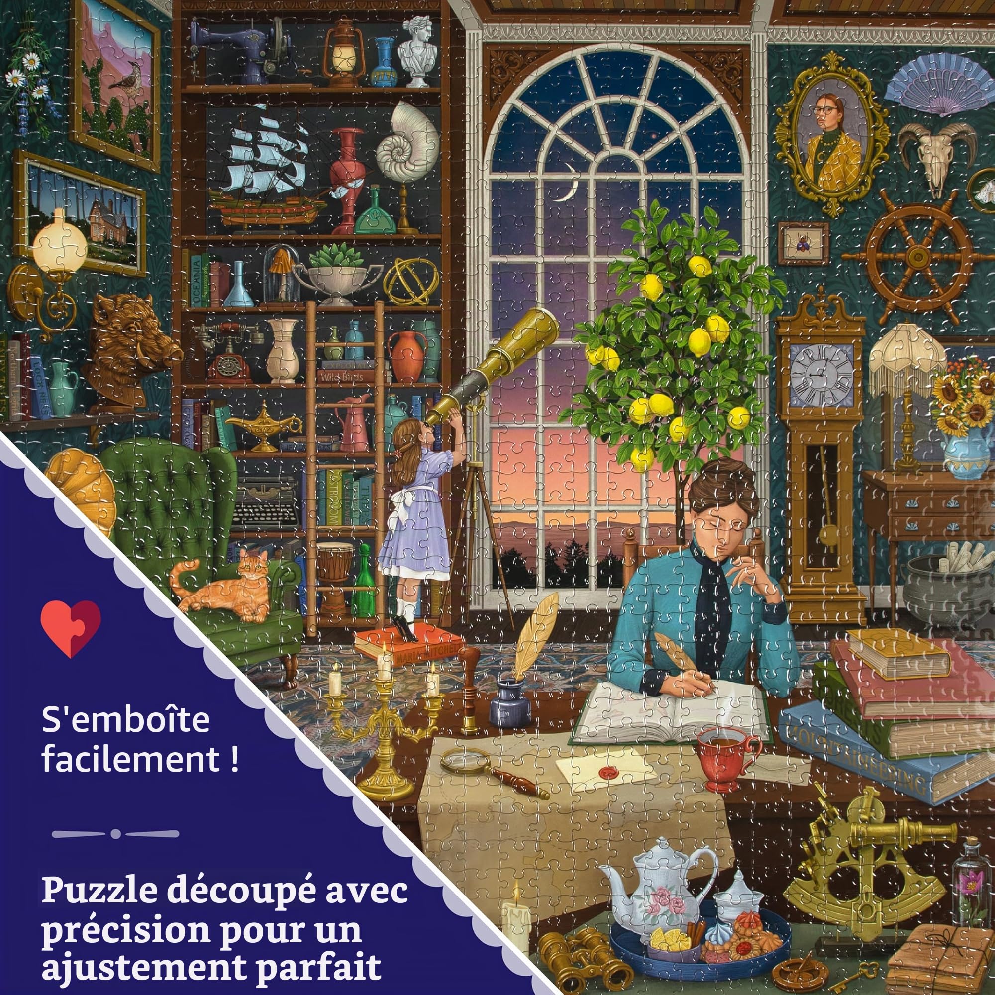 EEBOO - ALCHEMIST'S Library - Puzzle Adulte 1000 pièces - Illustration fascinante sur la librairie du mystérieux alchimiste - PZTAHL