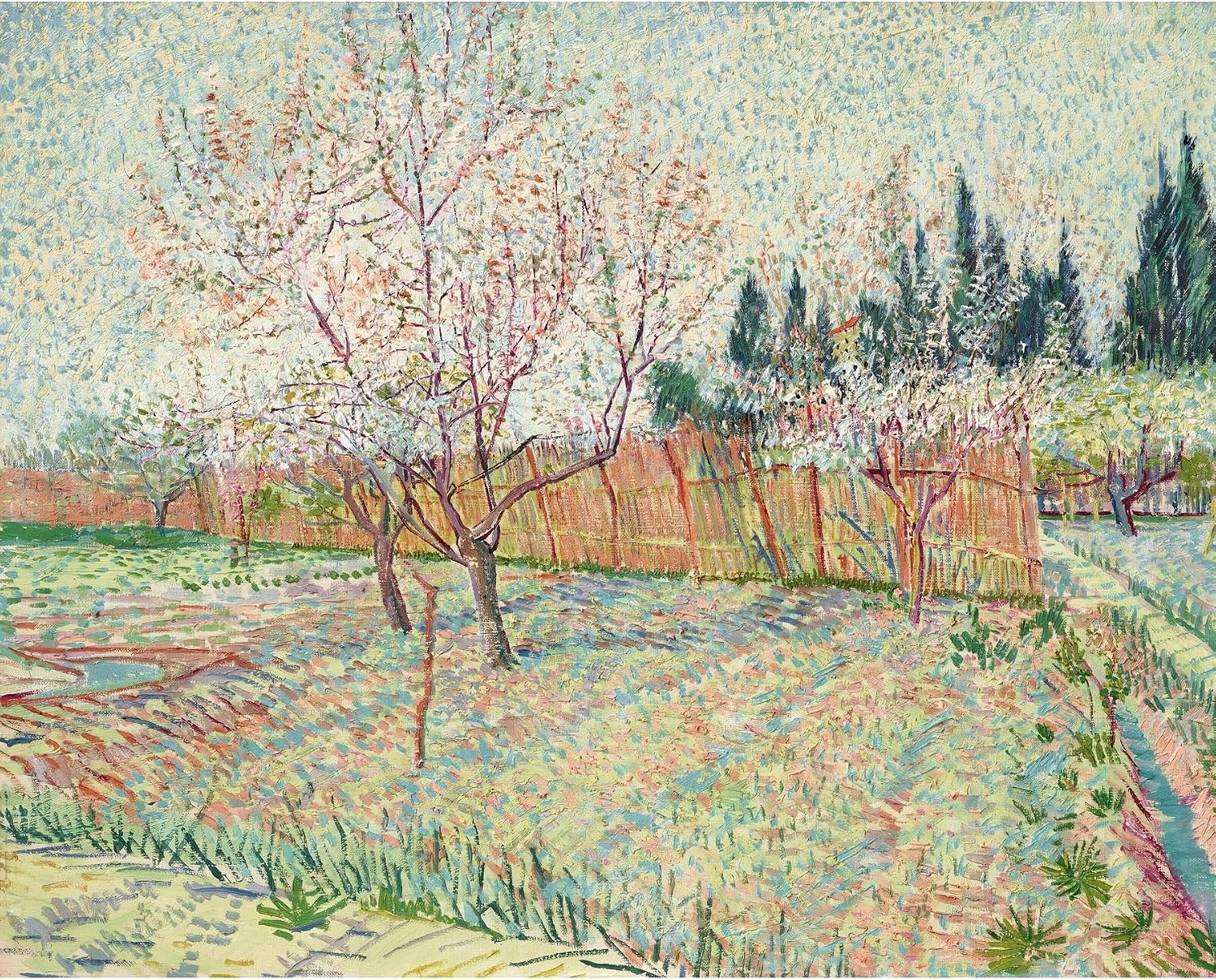 ArtDirect Orchard with cypresses (1888) Unframed Art Print Giclee Poster by Vincent van Gogh - Ready for Framing with Customization Sizes 10x8, 14x11, 20x16, 30x24, 45x36 and 60x48 inches