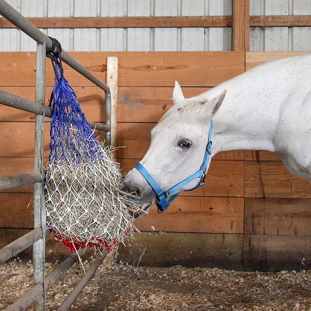 Foto 4 de 4 de Majestic Ally 2 Redes de heno de alimentación Lenta de 106,7 cm para Caballos