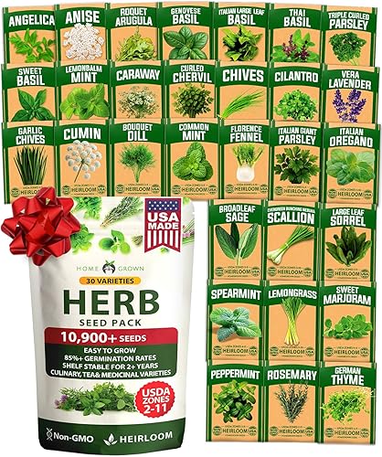 Miniatura 85 de HOME GROWN Semillas de Culantro sin transgénicos, 360 semillas de hierbas para plantar, variedad sin transgénicos autóctona, sabor robusto, prospera