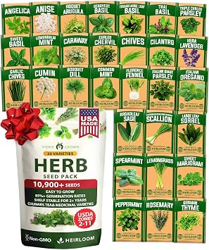 HOME GROWN 30 Herb Seeds for Planting 10,900+ Non-GMO Heirloom Seeds | Extra Large Variety Pack Herb Kit Indoor Outdoor & Hydroponic | Culinary Seed Set | Grow Your Own Herbs | Gardening Gift