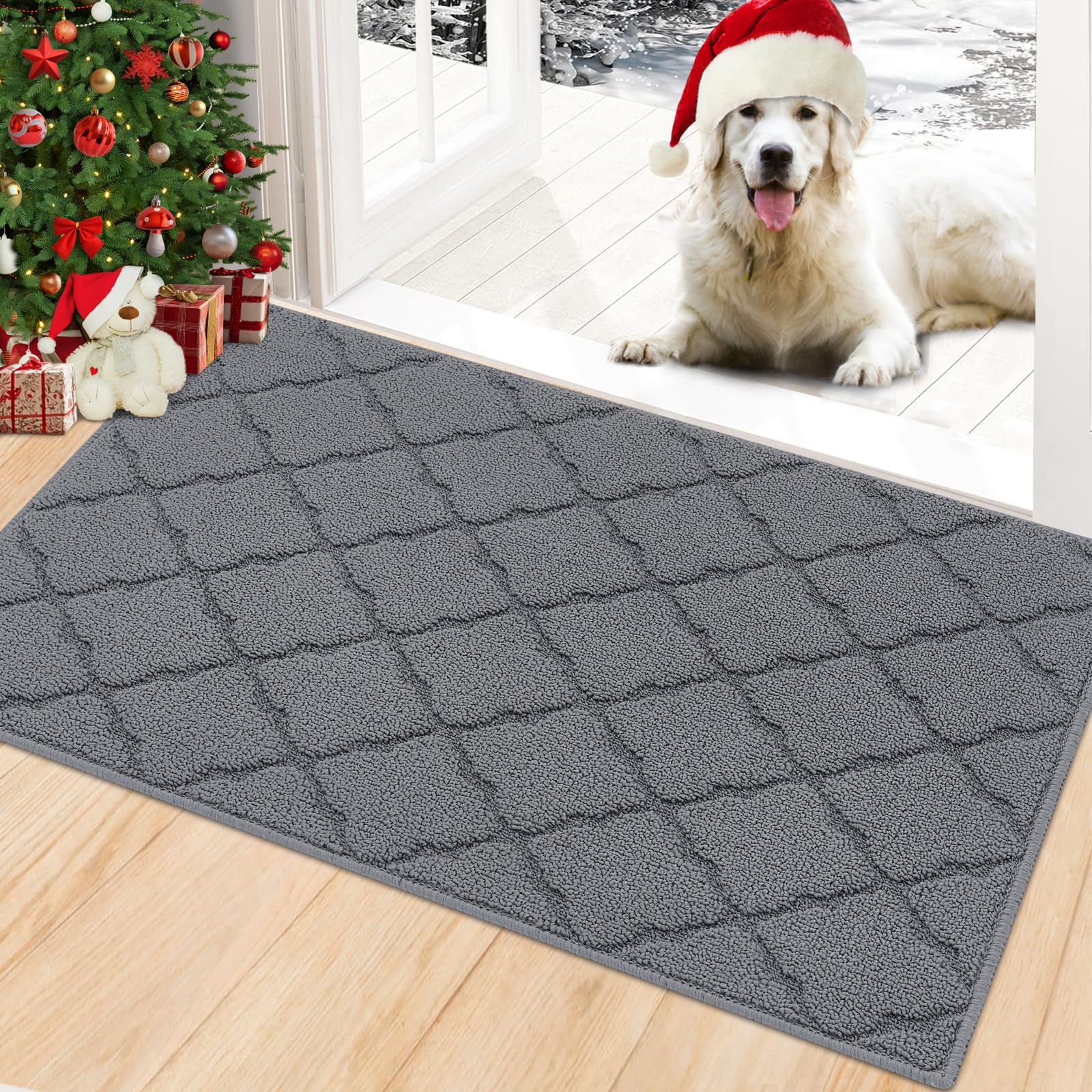 Indoor Doormat, Front Door Mat Absorbent Rubber Backing Non Slip Door Mats, Machine Washable Resist Dirt Low Profile Rugs for Entryway, Front Door