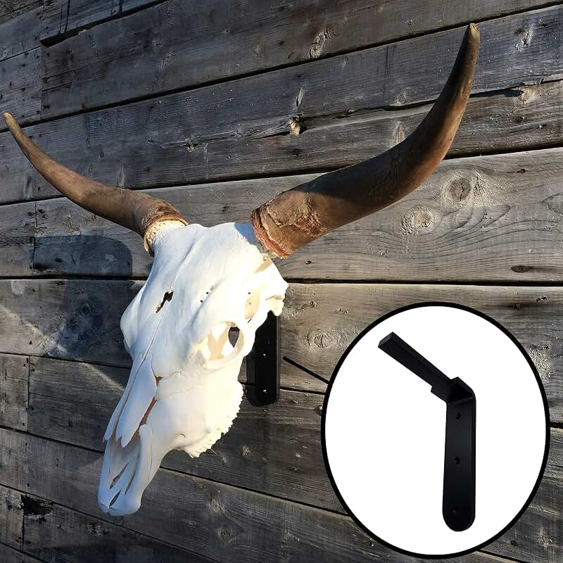 Amazon.ca bear horn