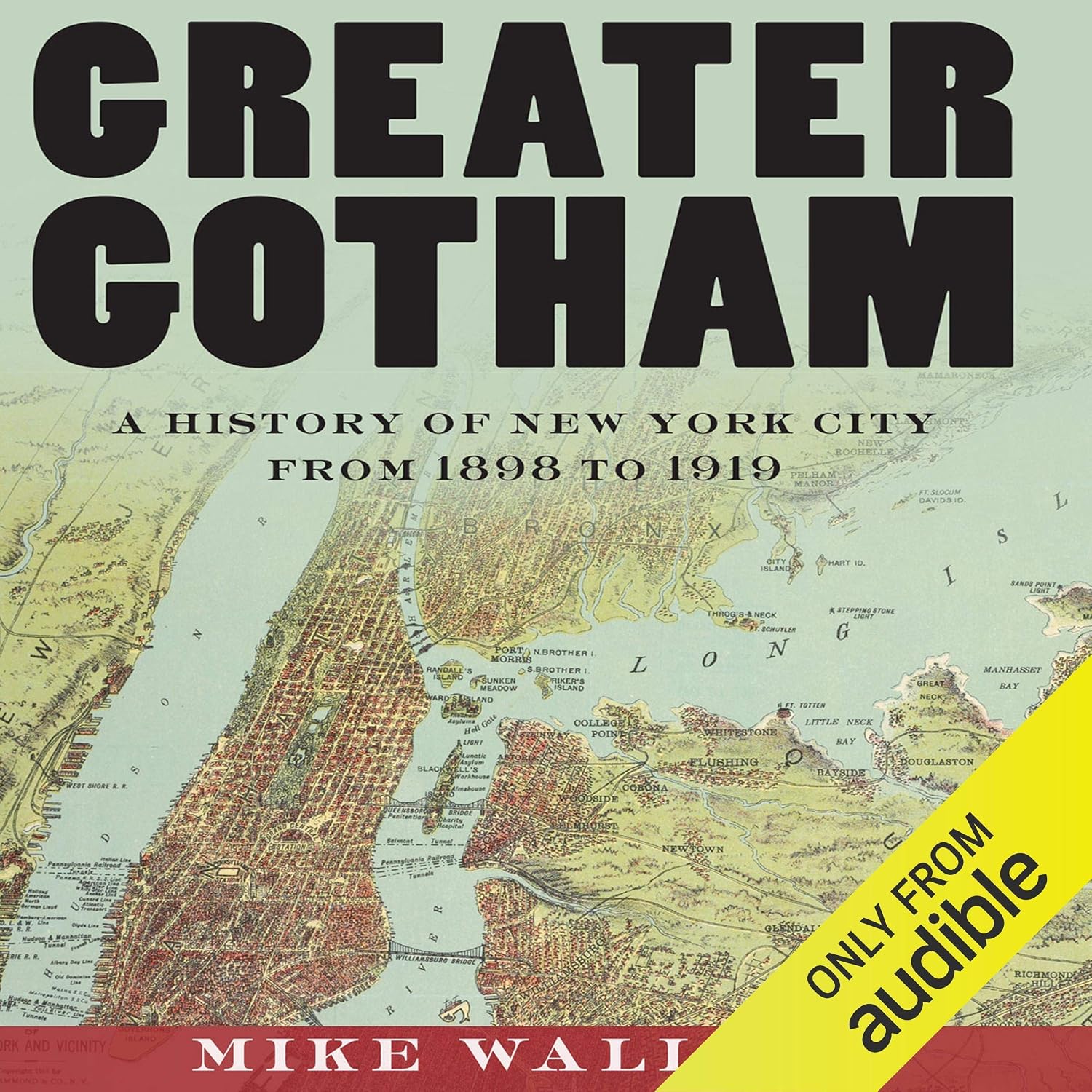 Greater Gotham: A History of New York City from 1898 to 1919