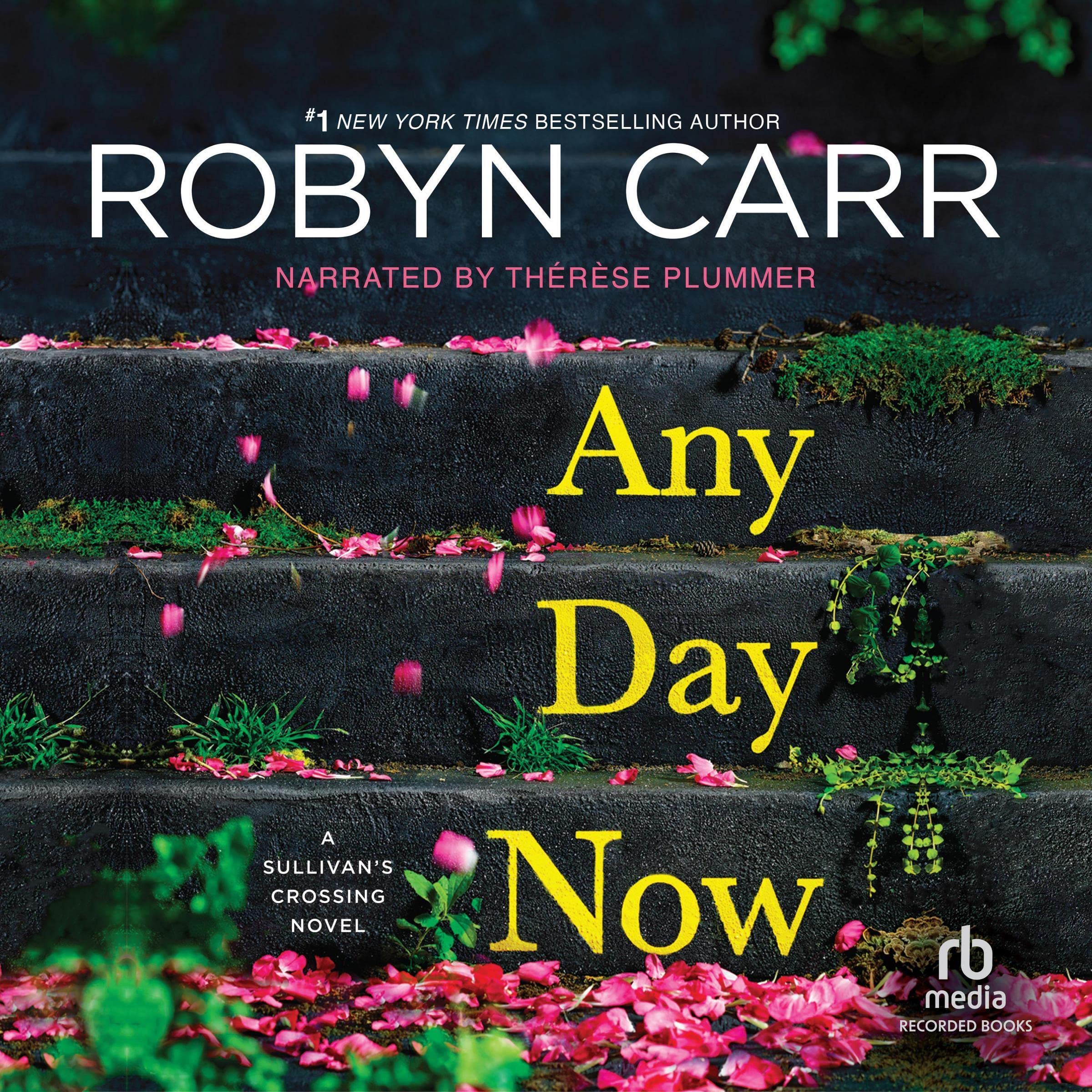 Cover art for Any Day Now