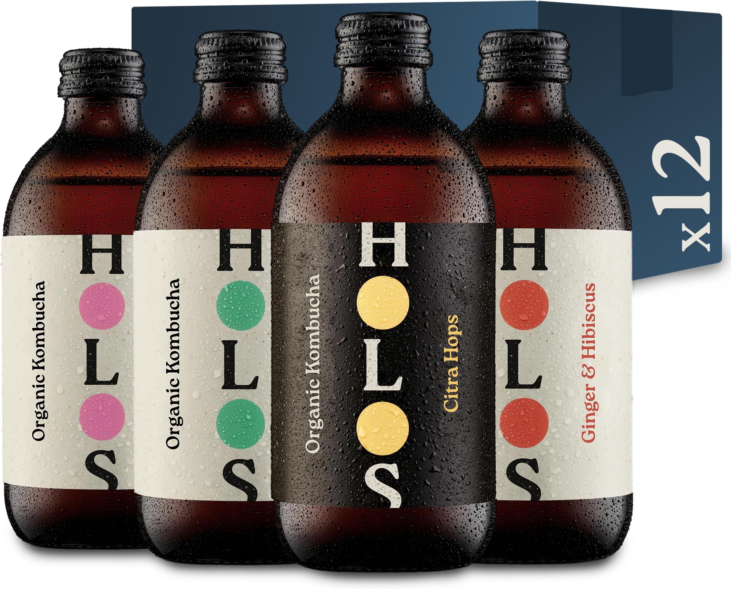 Kombucha Drink Mixed Case - Organic Kombucha Tea - Chilled, Unpasteurised Raw Kombucha - Vegan, All-Natural Ingredients - 12 x 330ml Kombucha Bottles