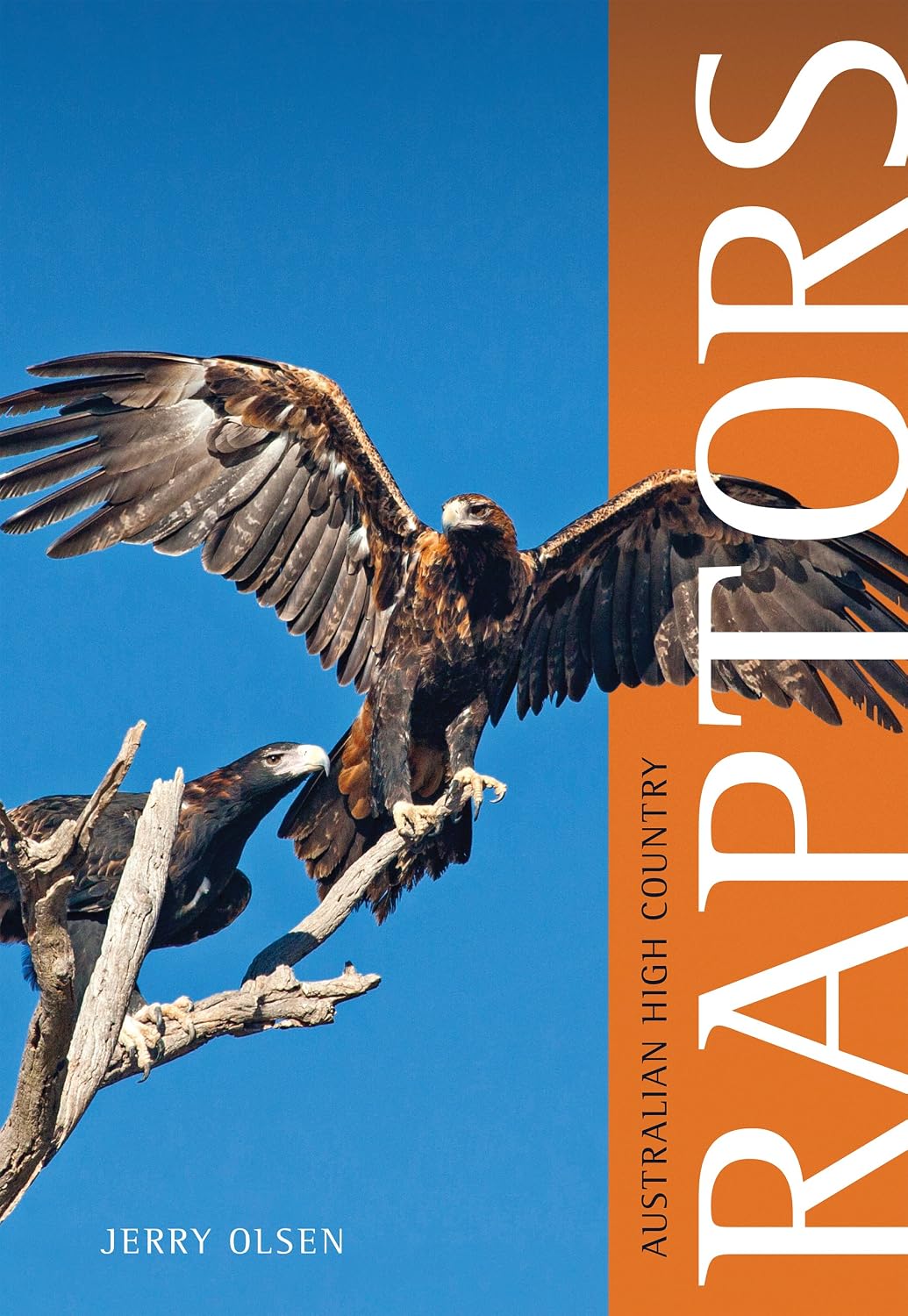 Australian High Country Raptors
