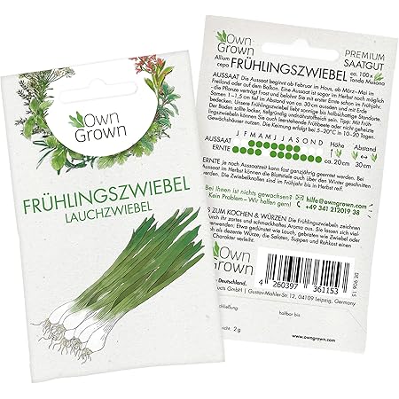 Premium Frühlingszwiebel Samen (Allium cepa), Lauchzwiebel Samen zum ganzjährigen Anbau im Haus, Garten und auf dem Balkon - Für ca. 100 Lauchzwiebel Pflanzen - Frühlingszwiebel Saatgut von OwnGrown