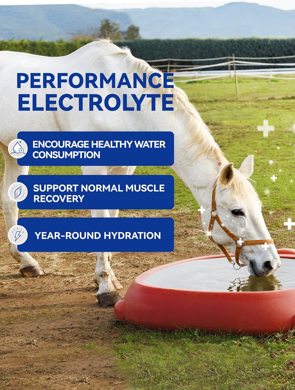 Horse Electrolytes Powder, Electrolyte for Horses with Sodium & Potassium, Equine Hydration Supplement-1400g