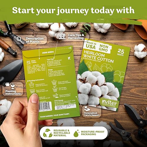 Miniatura 2 de KVITER 25 semillas de algodón blanco para plantar (Gossypium hirsutum) Planta de algodón real, semillas de algodón para cultivo, semillas de