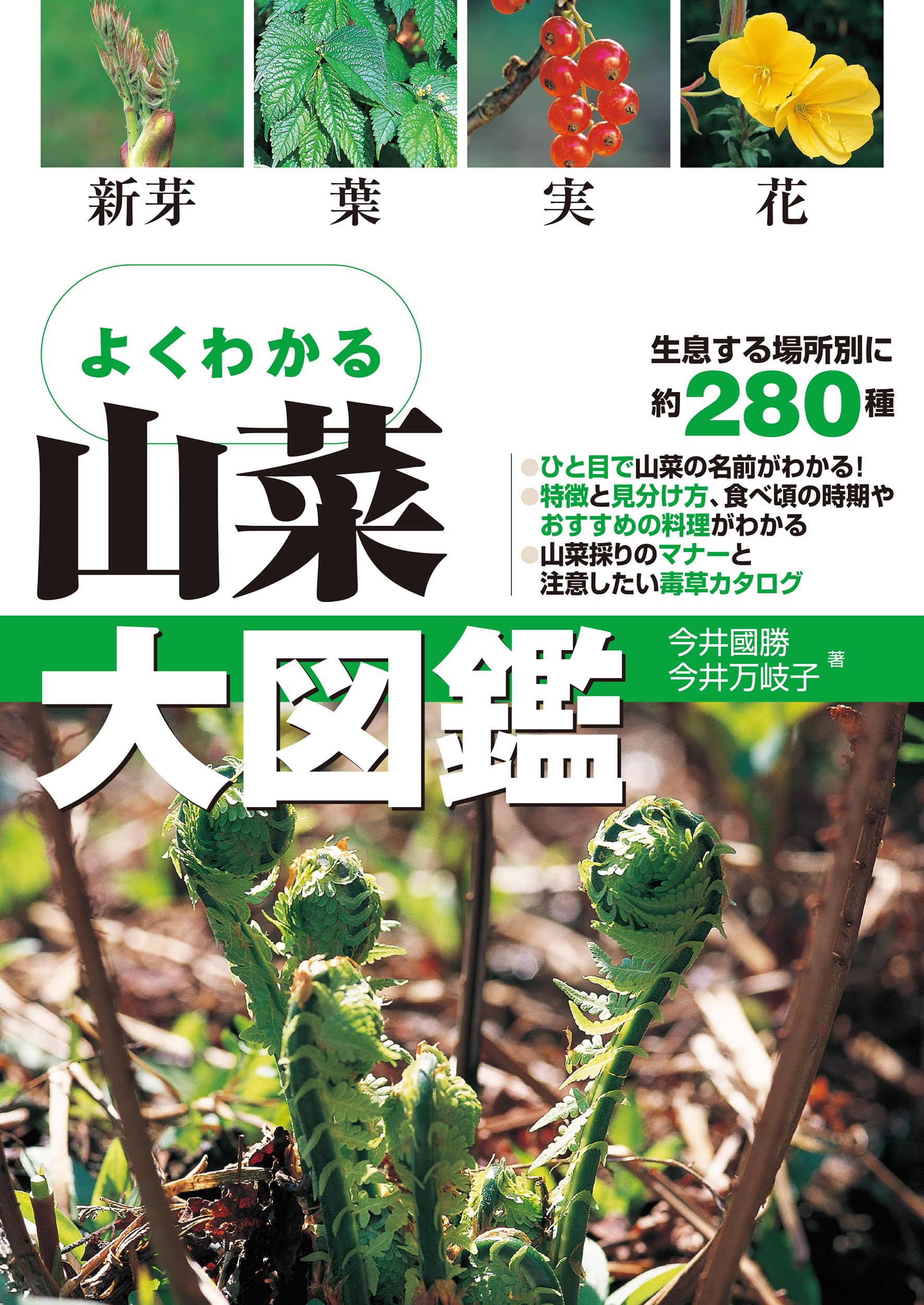 Amazon.co.jp: よくわかる 山菜大図鑑 : 今井國勝, 今井万岐子: 本