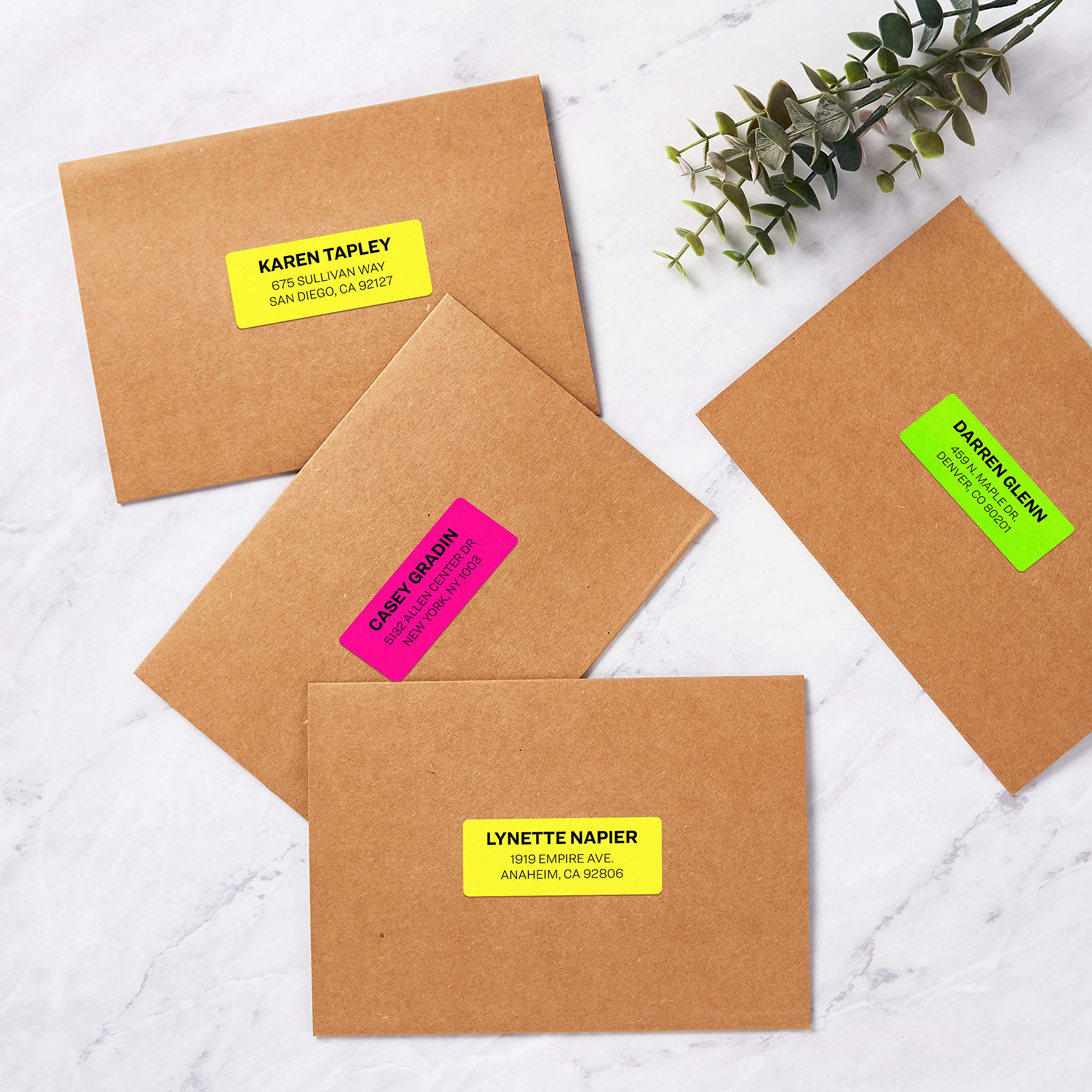 avery colored labels