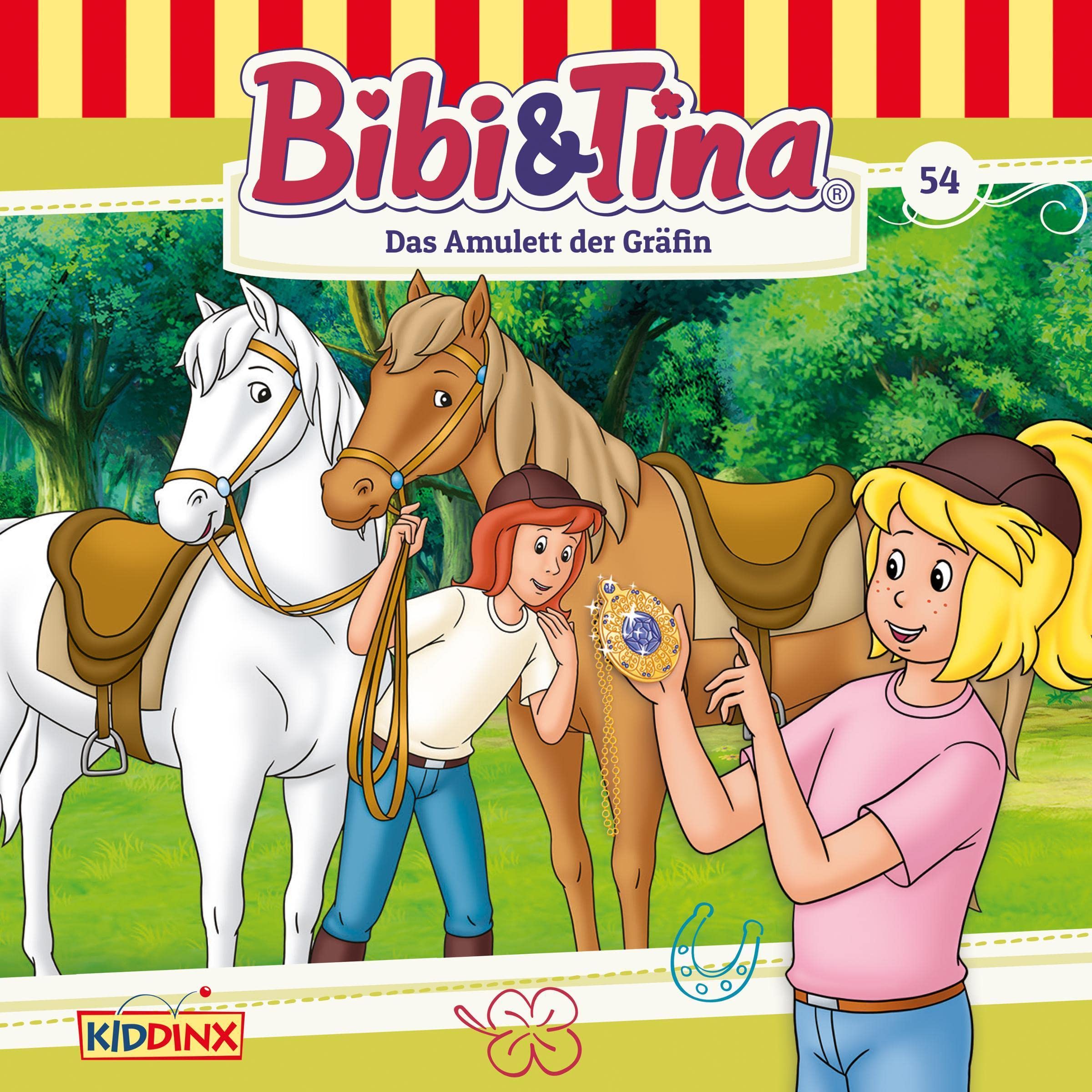 Cover art for Das Amulett der Gräfin