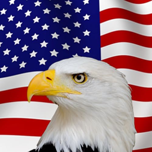 US Citizenship Review Test