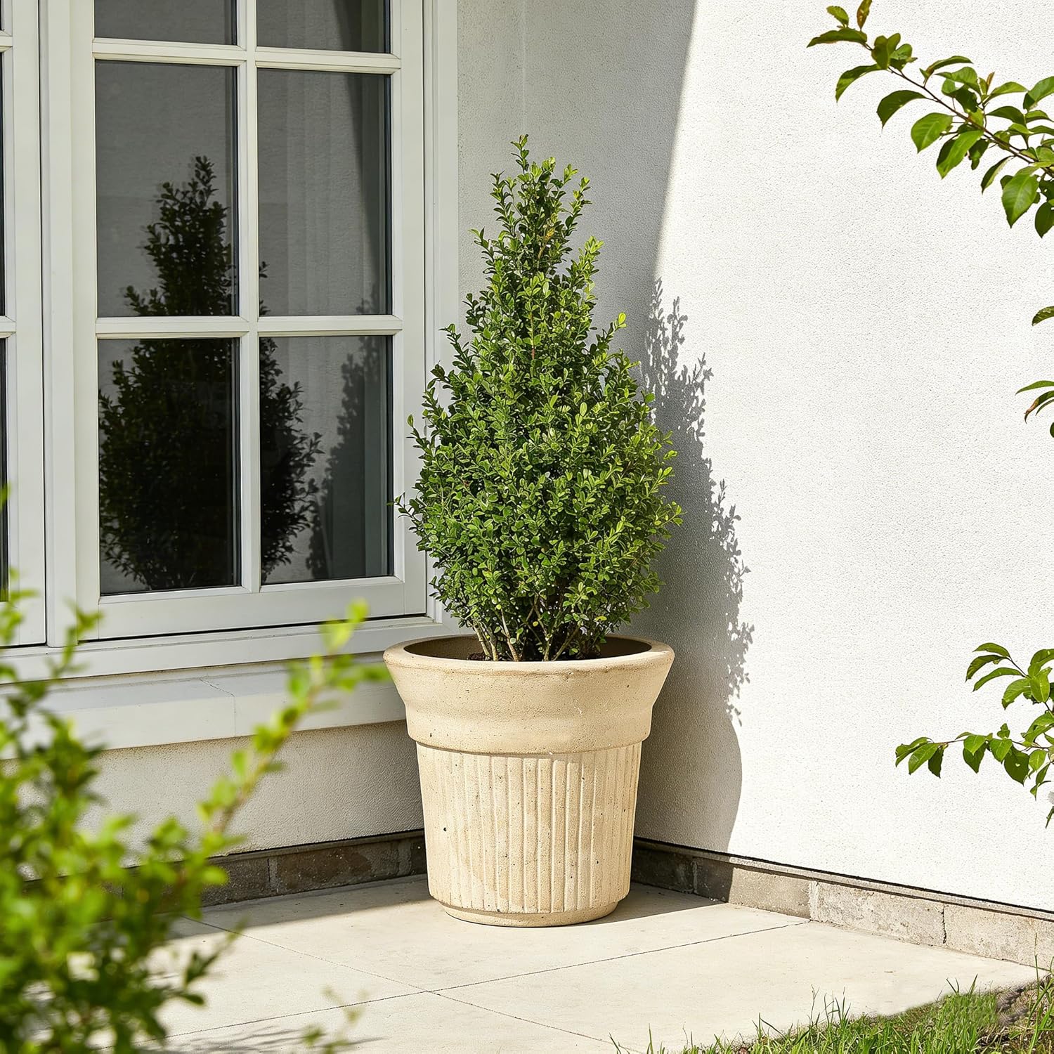 8 Inch Clay Planter with Saucer Unglazed White Terracotta Pot with Drainage Hole Rustic Weather-Resistant Plant Pot for Indoor Outdoor Use Ideal for Home Office Patio Garden