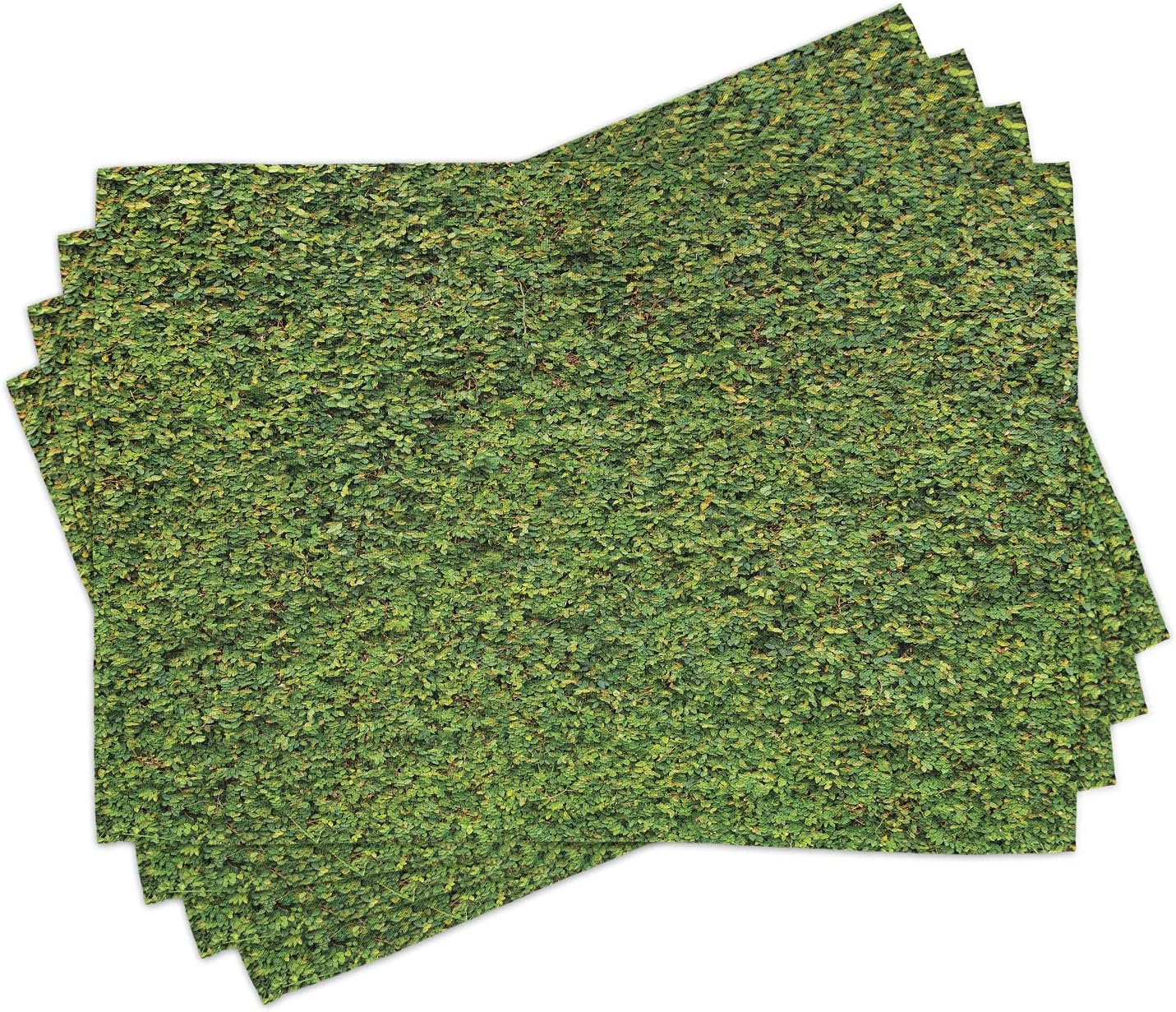 Lunarable Boxwood Hedge Place Mats Set of 4, Foliage Awaking Nature Spring Leaves Bush Shrub Verdure Refreshing Greenery, Washable Fabric Placemats for Dining Table, Standard Size, Green